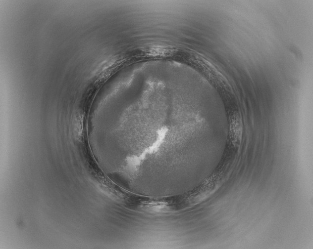 X0000116030554200912041937