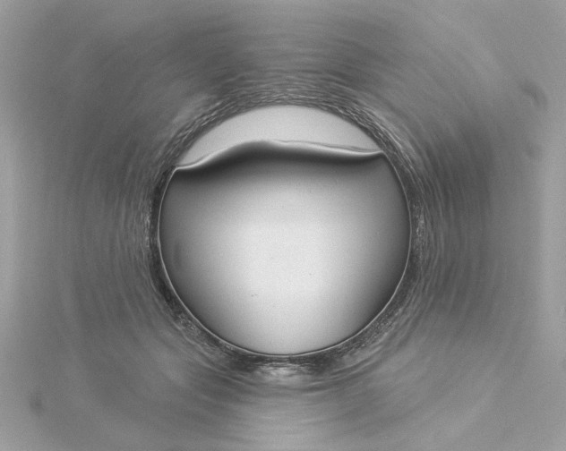 X0000116030557200912041937