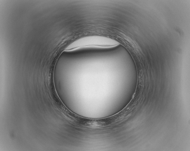 X0000116030558200912041937