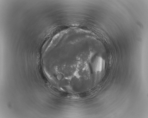 X0000116030559200912041937