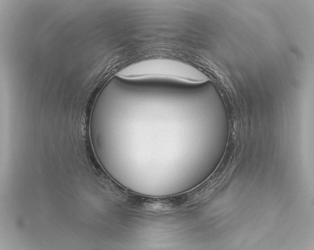 X0000116030561200912041937