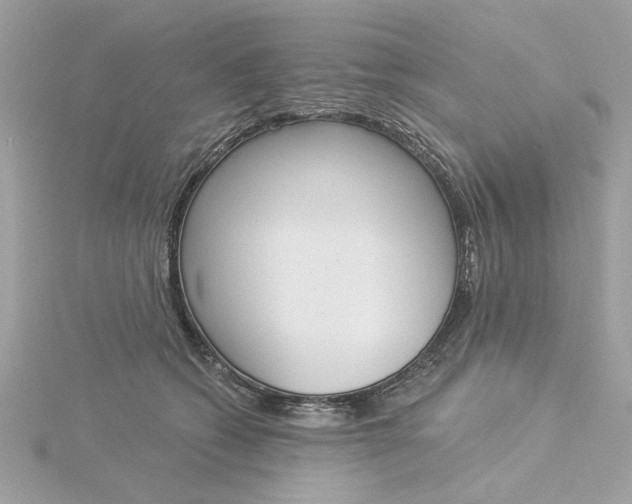 X0000116030562200912041937