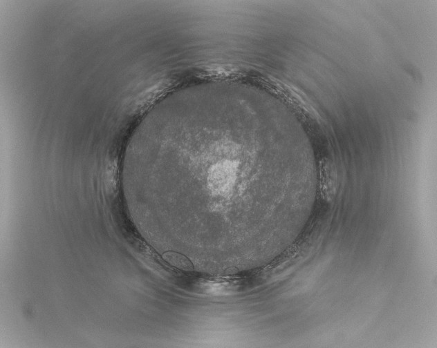 X0000116030563200912041937