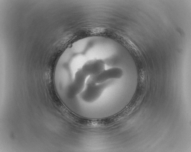 X0000116030565200912041937