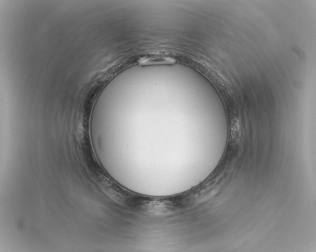 X0000116030566200912041937