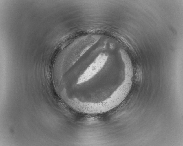 X0000116030569200912041937