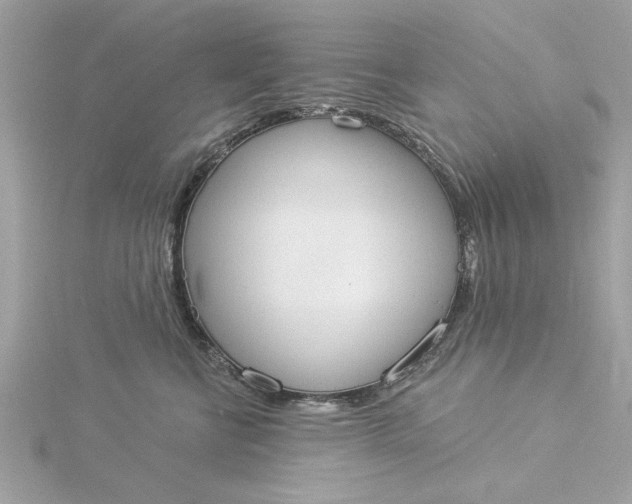 X0000116030570200912041937