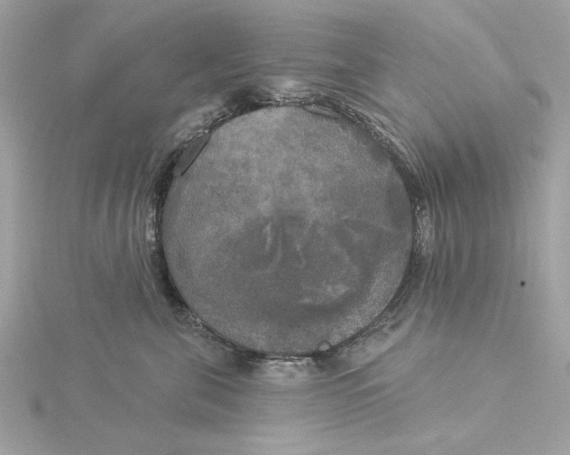 X0000116030571200912041937