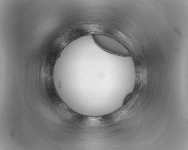 X0000116030573200912041937