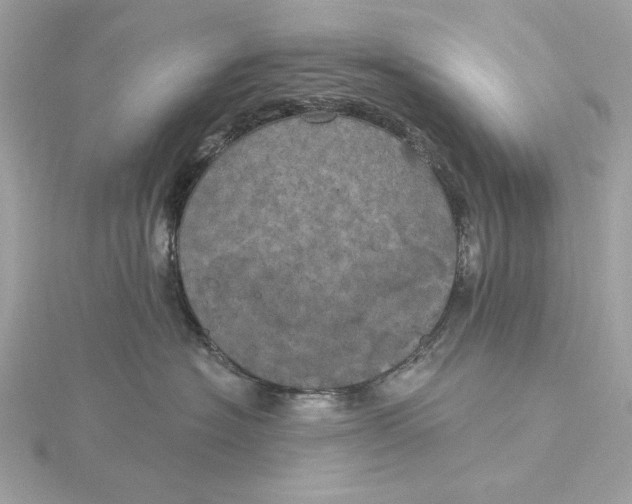 X0000116030574200912041937