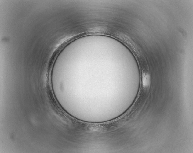 X0000116030579200912041936