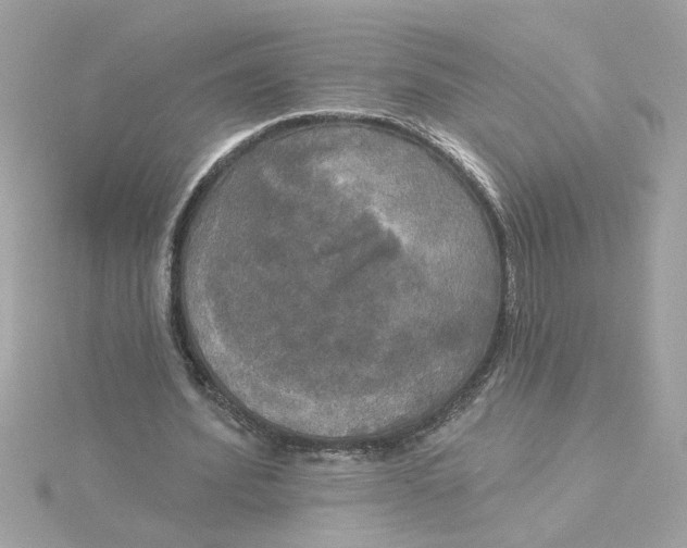 X0000116030580200912041936