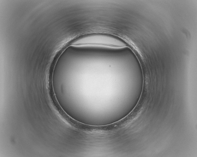 X0000116030581200912041936