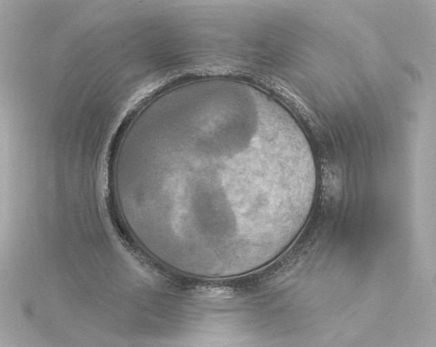 X0000116030582200912041936