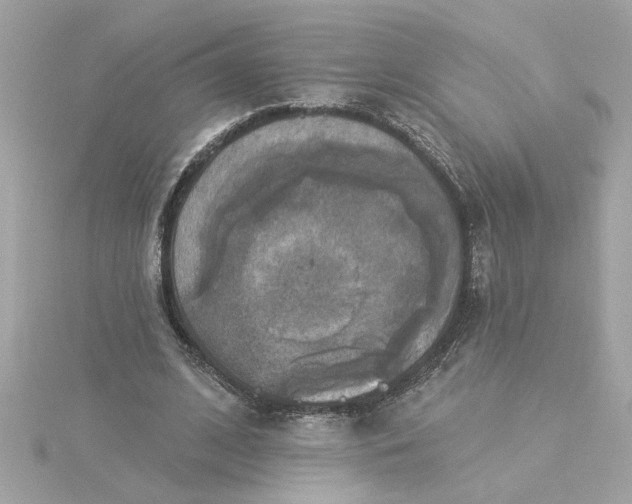 X0000116030584200912041936