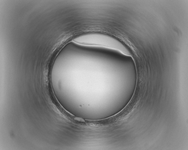 X0000116030585200912041936