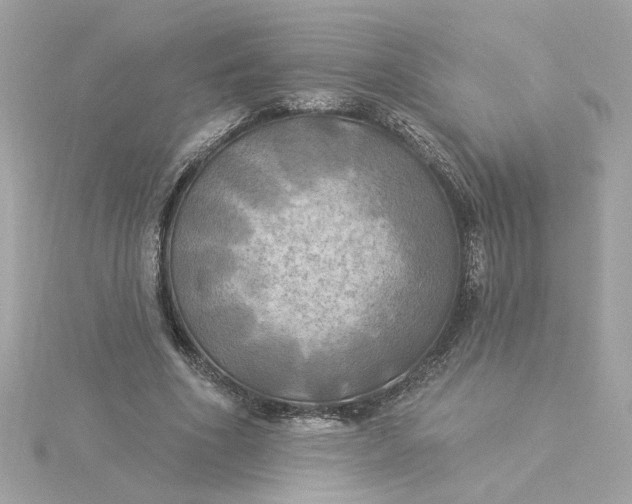 X0000116030586200912041936