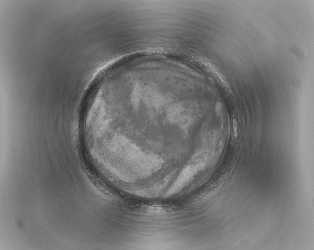 X0000116030588200912041936