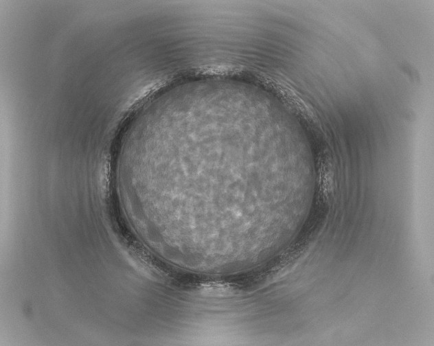 X0000116030591200912041936