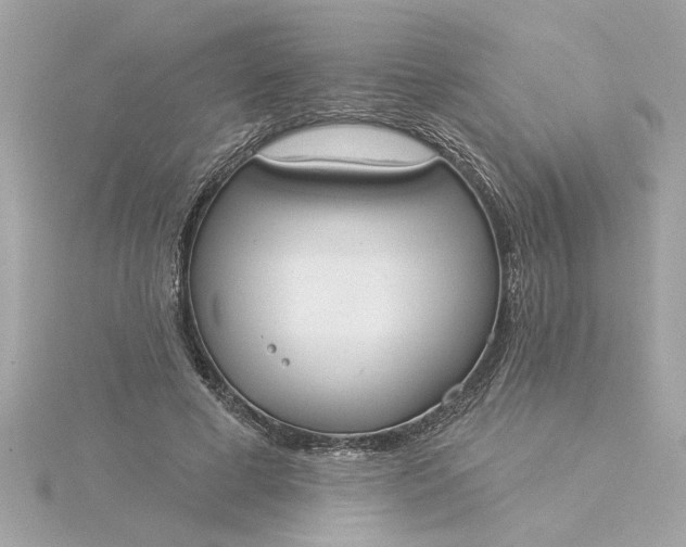 X0000116030593200912041936