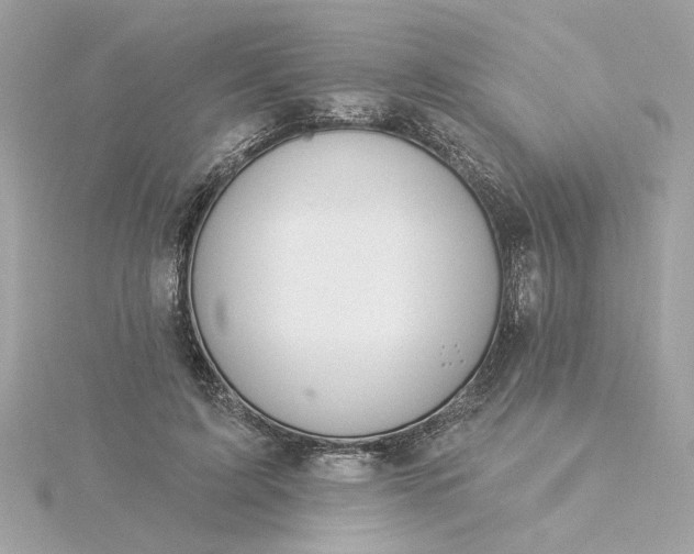 X0000116030595200912041936