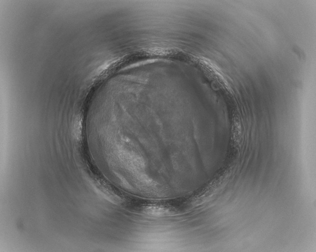 X0000116030596200912041936