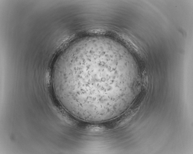 X0000116030597200912041936