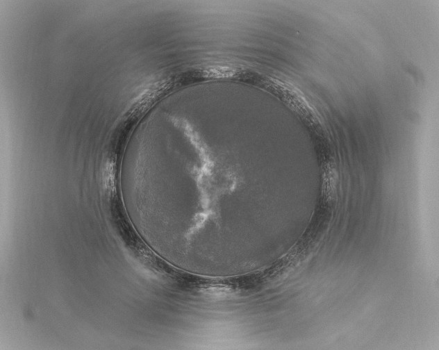 X0000116030598200912041936