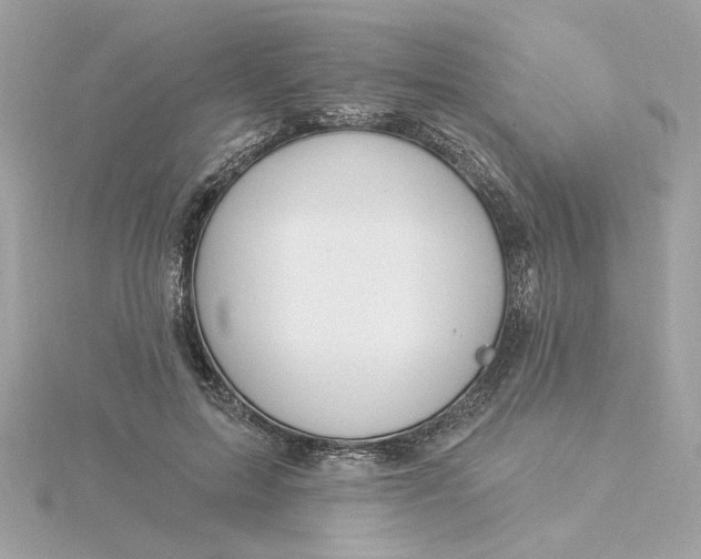 X0000116030599200912041936