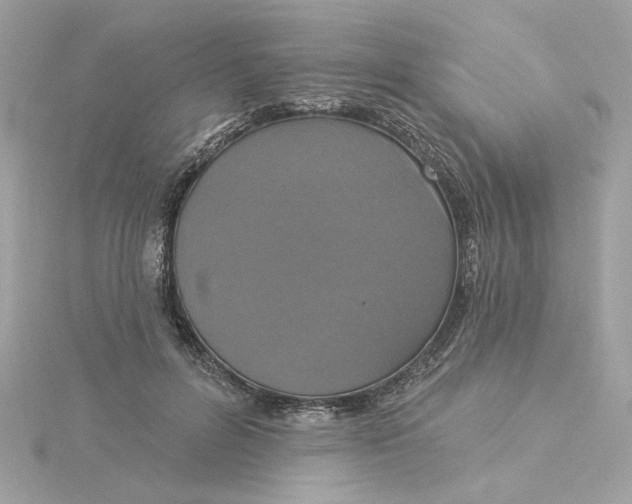 X0000116030600200912041936