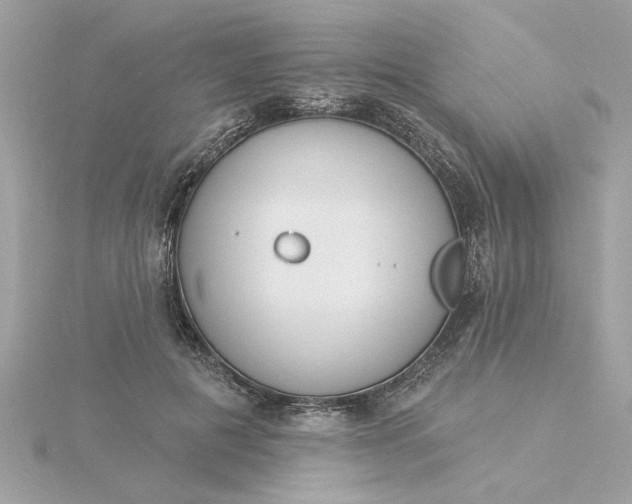 X0000116030601200912041936