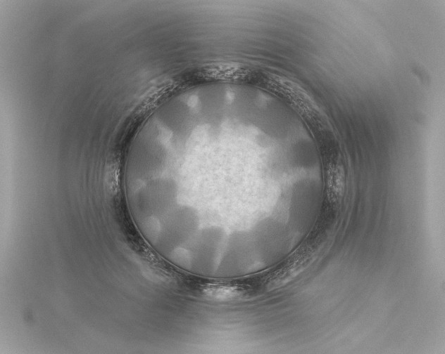 X0000116030602200912041936