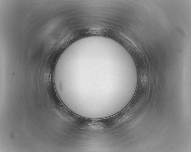 X0000116030603200912041936