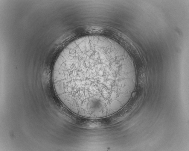 X0000116030604200912041936