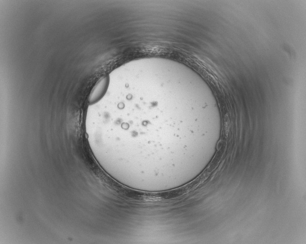 X0000116030605200912041936