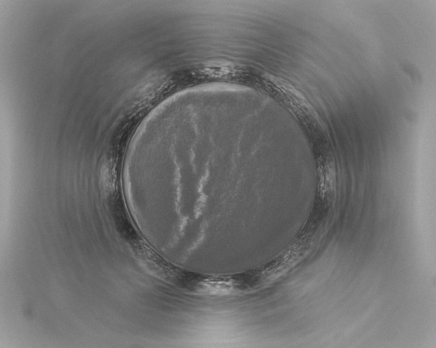 X0000116030606200912041936