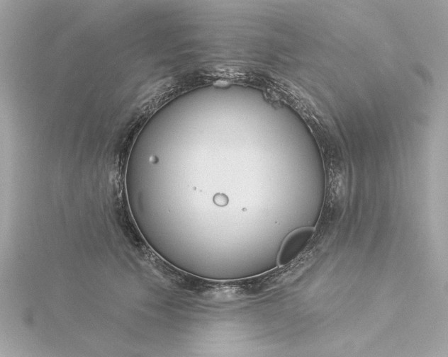 X0000116030609200912041936