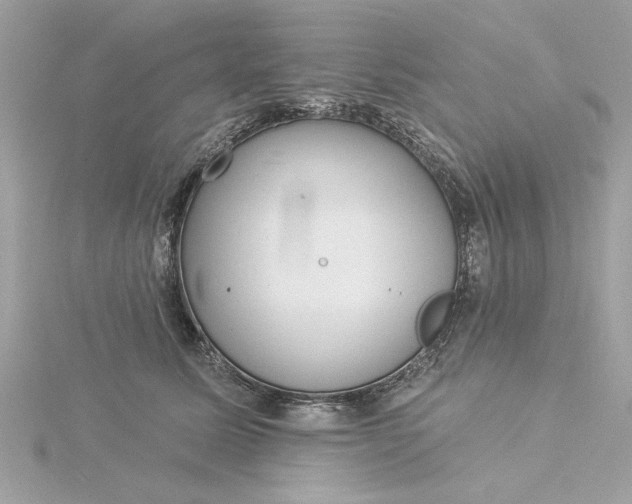 X0000116030611200912041936