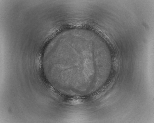 X0000116030612200912041936