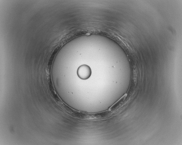 X0000116030613200912041936