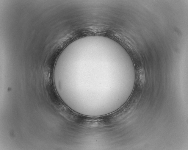 X0000116030615200912041936