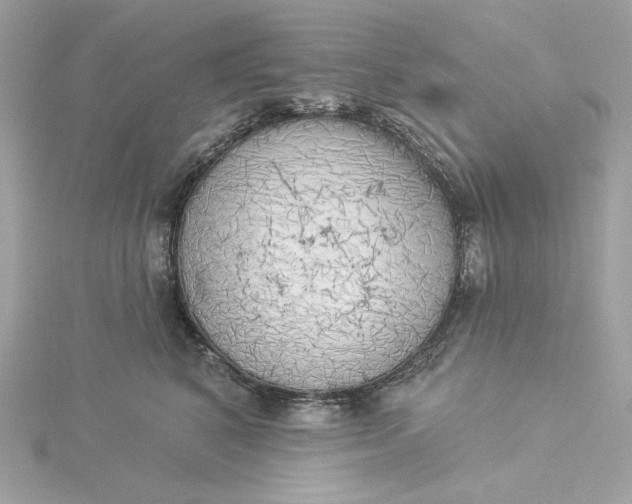 X0000116030616200912041936