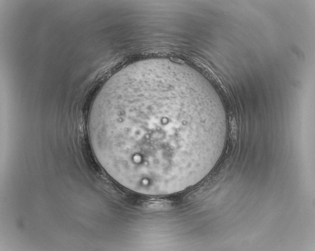 X0000116030617200912041936