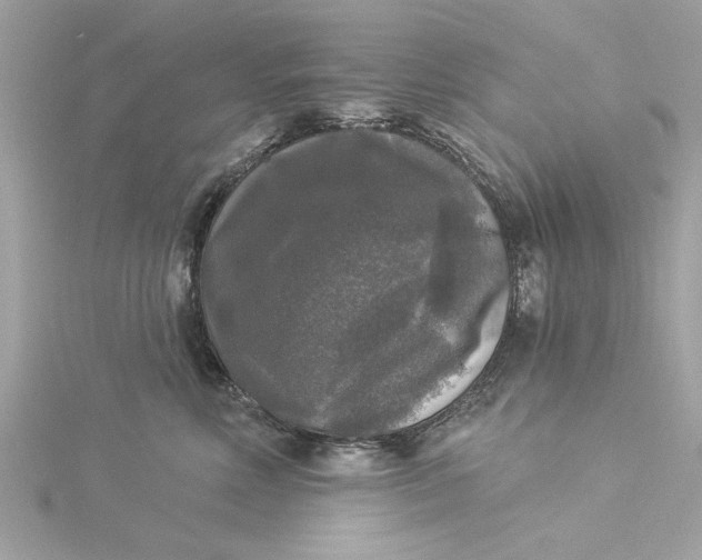 X0000116030618200912041936