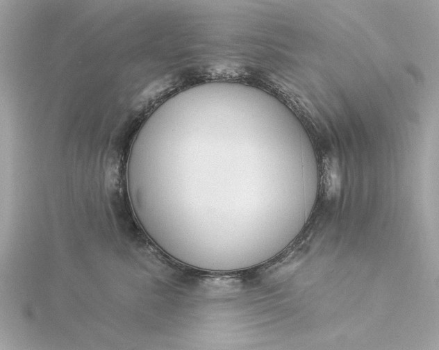 X0000116030619200912041936