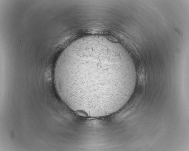 X0000116030620200912041936