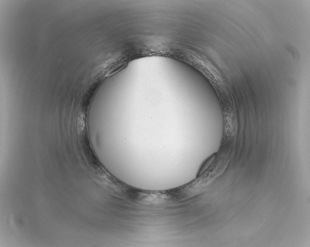 X0000116030621200912041936