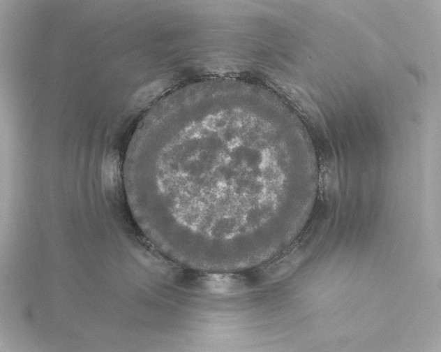 X0000116030623200912041936