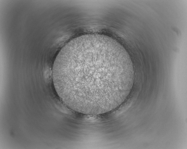 X0000116030624200912041936