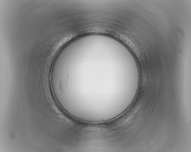 X0000116030625200912041935